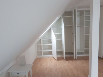 22012019 Schrank In Dachschrage3